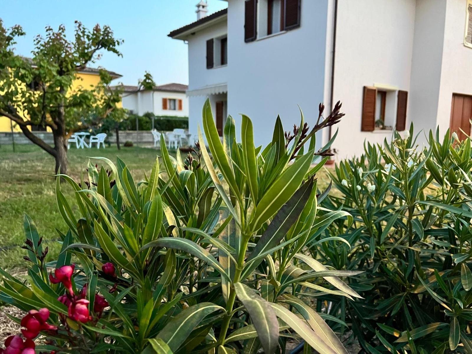 Private Apartment With Garden Cannigione Exterior foto